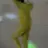 김도완