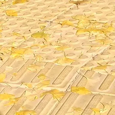 Profile image of 젠이츠