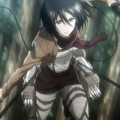 Profile image of ミカサ