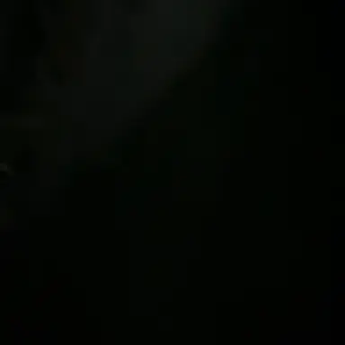 Profile image of 최승현