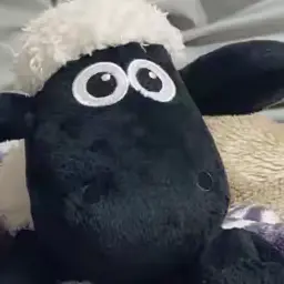 Profile image of 渡辺 あい