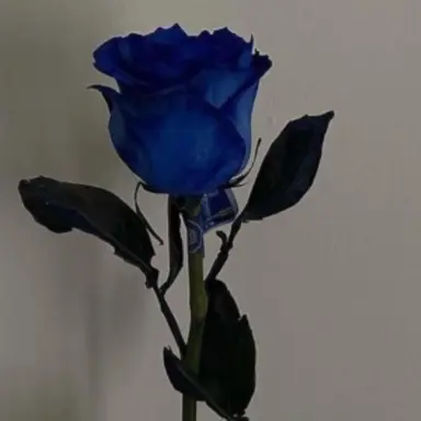 Profile image of 잉여맨