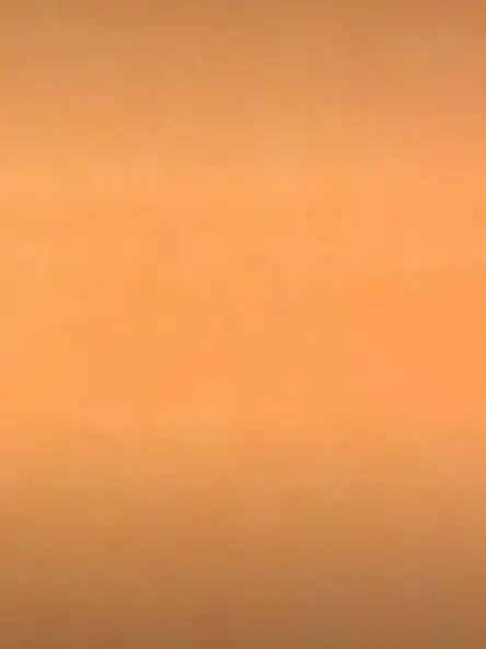 NOnononononon의 ヒモ