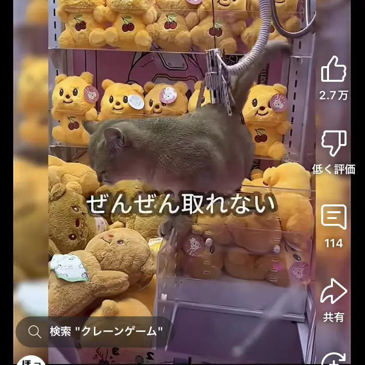 QuietRuler9446의 子猫をゲームセンターで取れ！