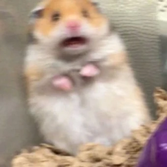 유하린