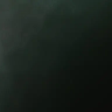 Profile image of 問ちゃん