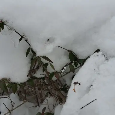 Profile image of 잠뜰