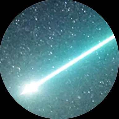 Profile image of 누브