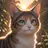 にょら猫