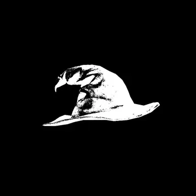 Profile image of W