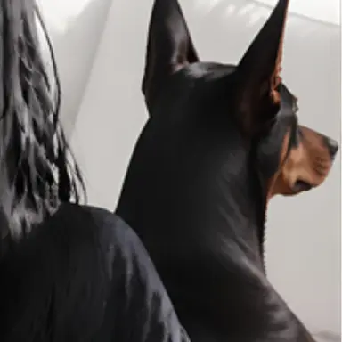 Profile image of レオ