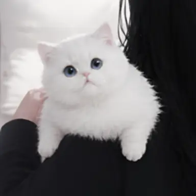 Profile image of ベル