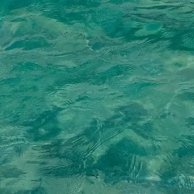 Profile image of 시안