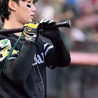 Profile image of 正木智也