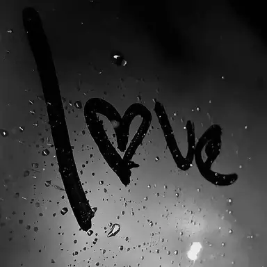 Profile image of 정공룡