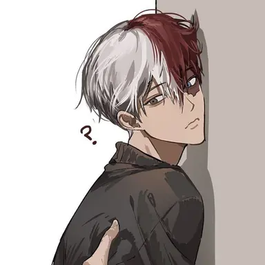 Profile image of Todoroki