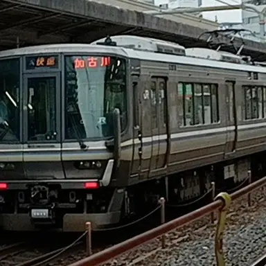 Profile image of 223系未更新