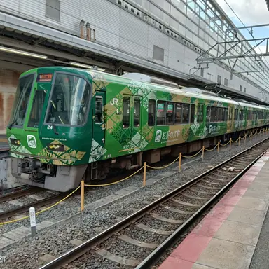 Profile image of お茶の京都221系