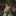 유승호