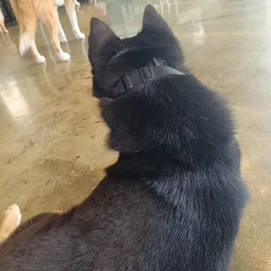 Profile image of 지우의 추종자 1