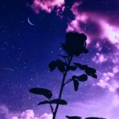 Profile image of 멜로우