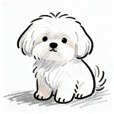 Profile image of 몽이
