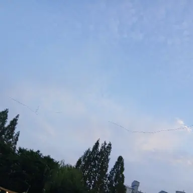 Profile image of 잭