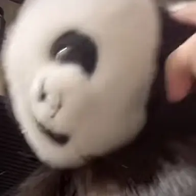 Profile image of リオ