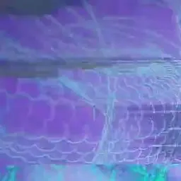 Profile image of 이수현