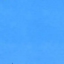 Profile image of 김준수