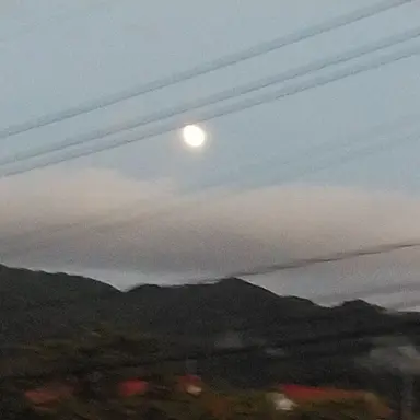 Profile image of 男子高校生