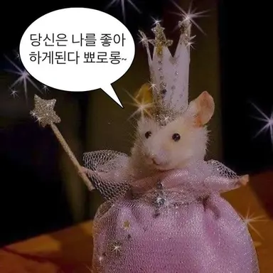 Profile image of 여우