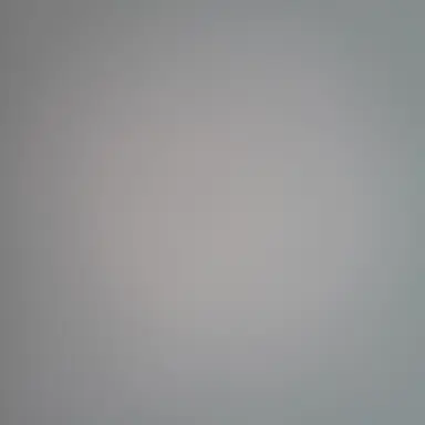 Profile image of 공룡