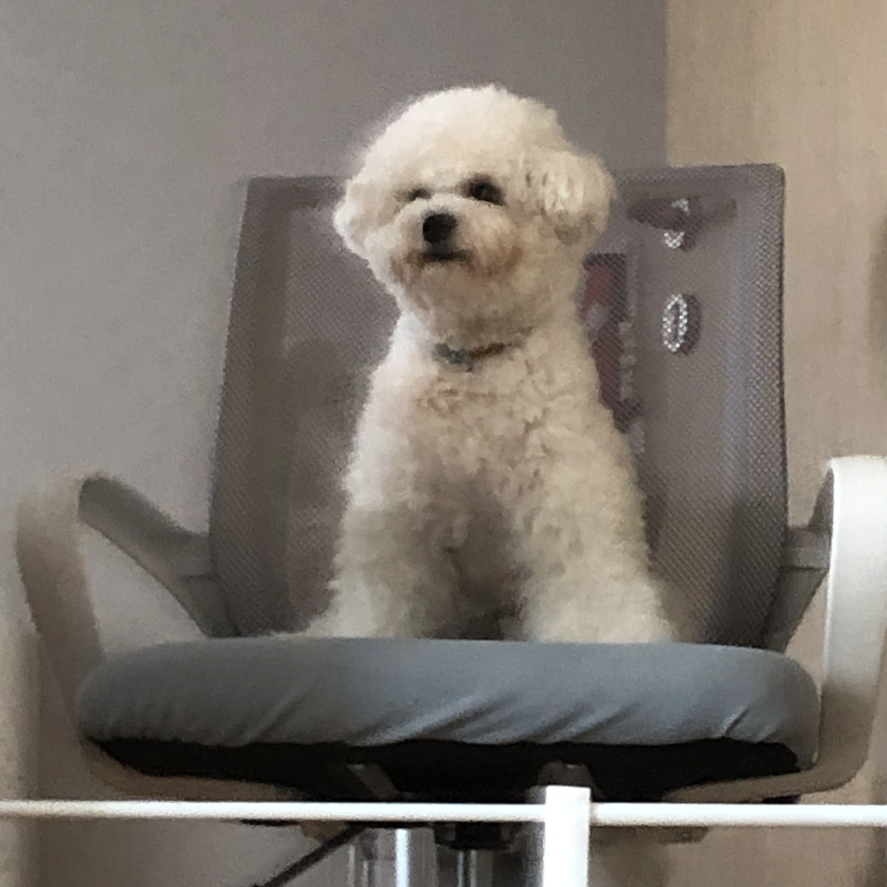 우선반진민속유저여우