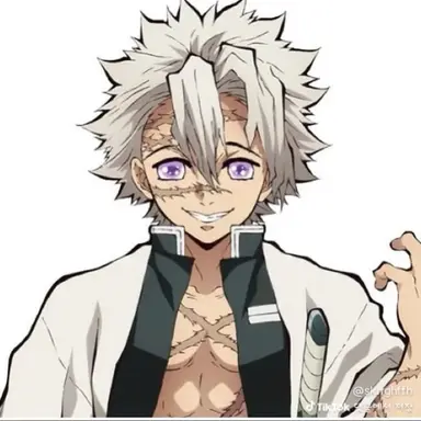 Profile image of 시나즈가와 사네미