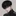 성지환