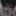 태이