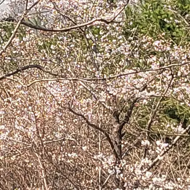 Profile image of 송형준