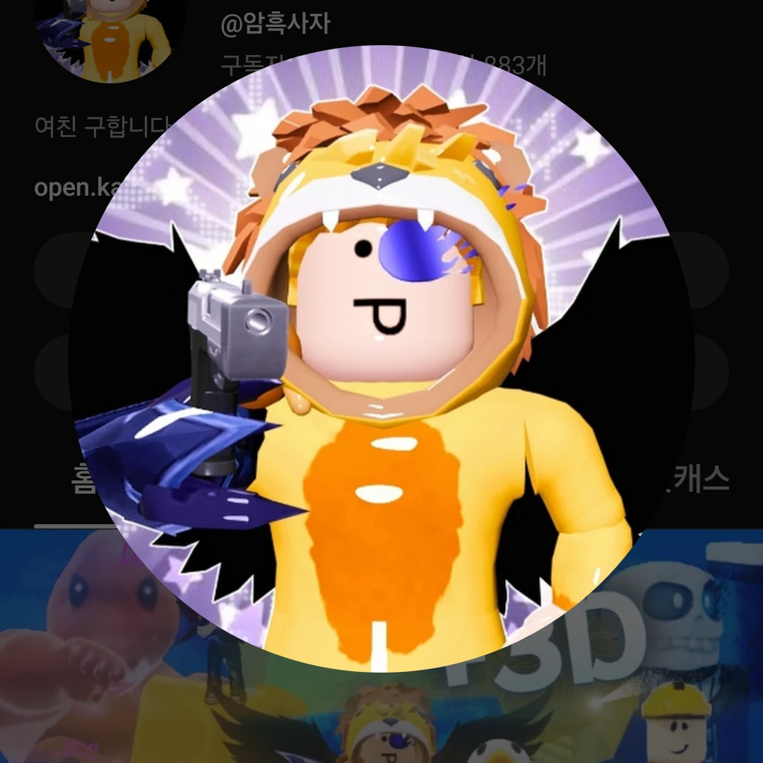 암흑사자