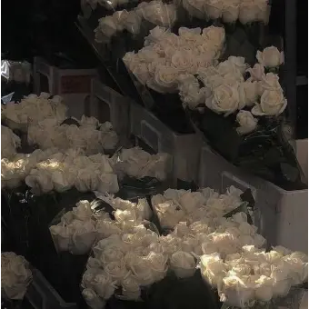 Profile image of 김여우