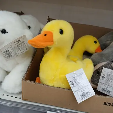 Profile image of 고고프렌즈 텔레파시