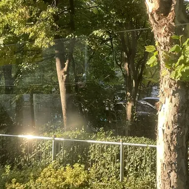 Profile image of 민수