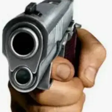 Profile image of BFDI GC