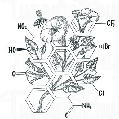 Profile image of 듀크