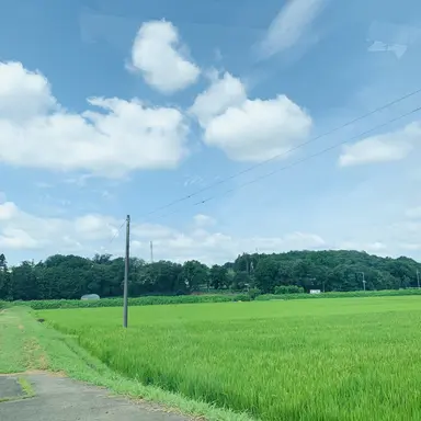 Profile image of 王耀
