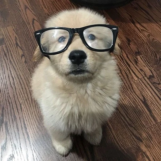 김승민