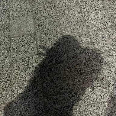 Profile image of 학대받는 여동생들