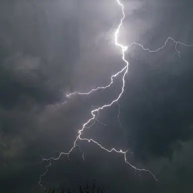 Profile image of Zeus