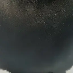 ondooooooin의 아종만