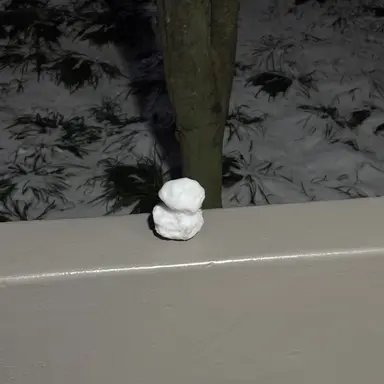 Profile image of 서라더